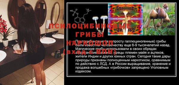 тгк Алексин