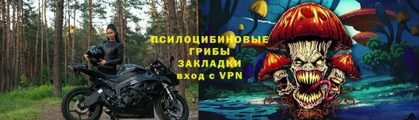 тгк Алексин
