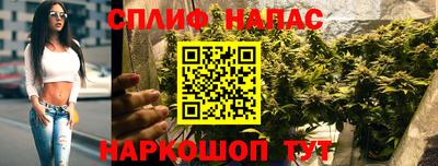 спиды Белореченск