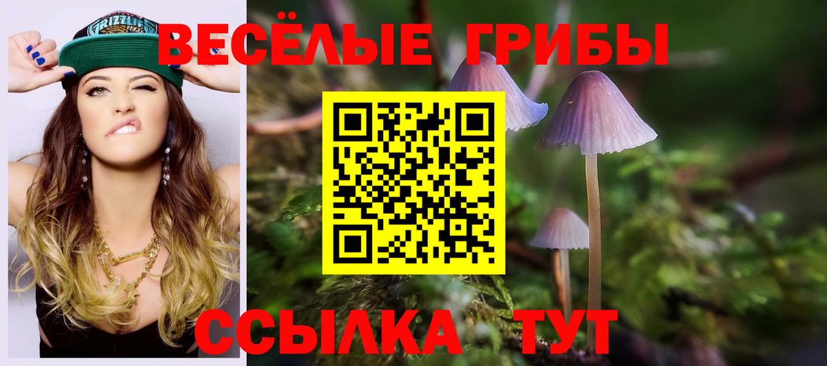 Псилоцибиновые грибы Cubensis Борзя