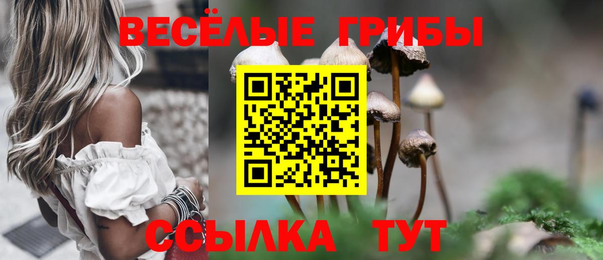 Псилоцибиновые грибы GOLDEN TEACHER  Вход с VPN  Псилоцибиновые грибы GOLDEN TEACHER  Борзя 